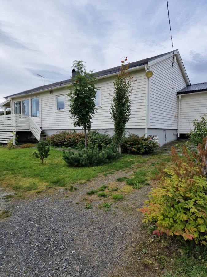 Warm And Cozy Cottage, Great Location Kvaloya 외부 사진